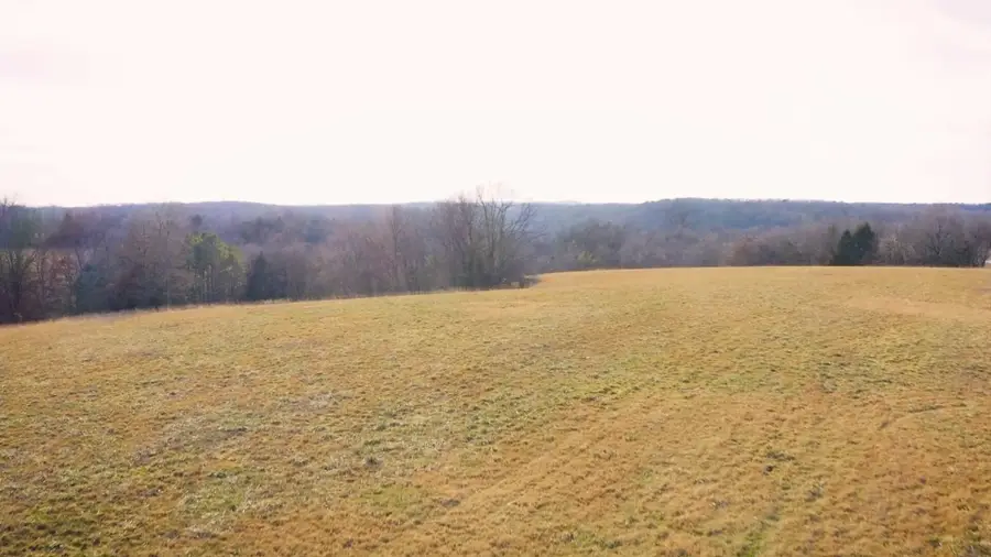 000 Ruger Road, Blue Eye, MO 65611 - Image #2