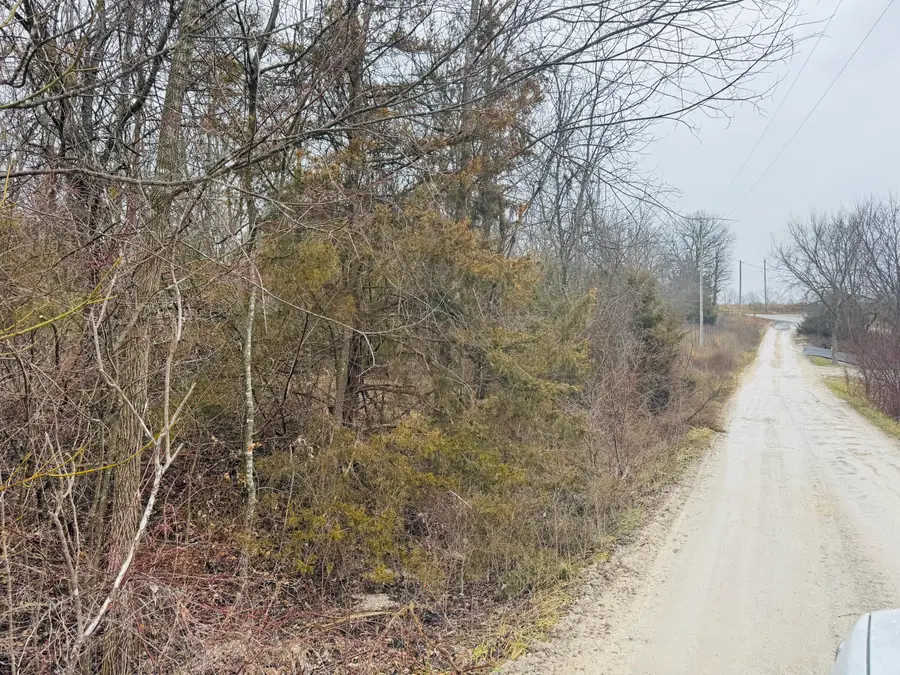 000 Primrose Lane, Clever, MO 65631 - Image #3