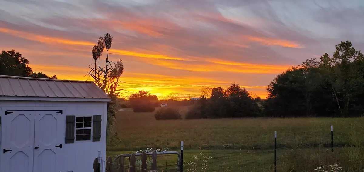 4775 S 50th Rd Road, Aldrich, MO 65601 - Image #1