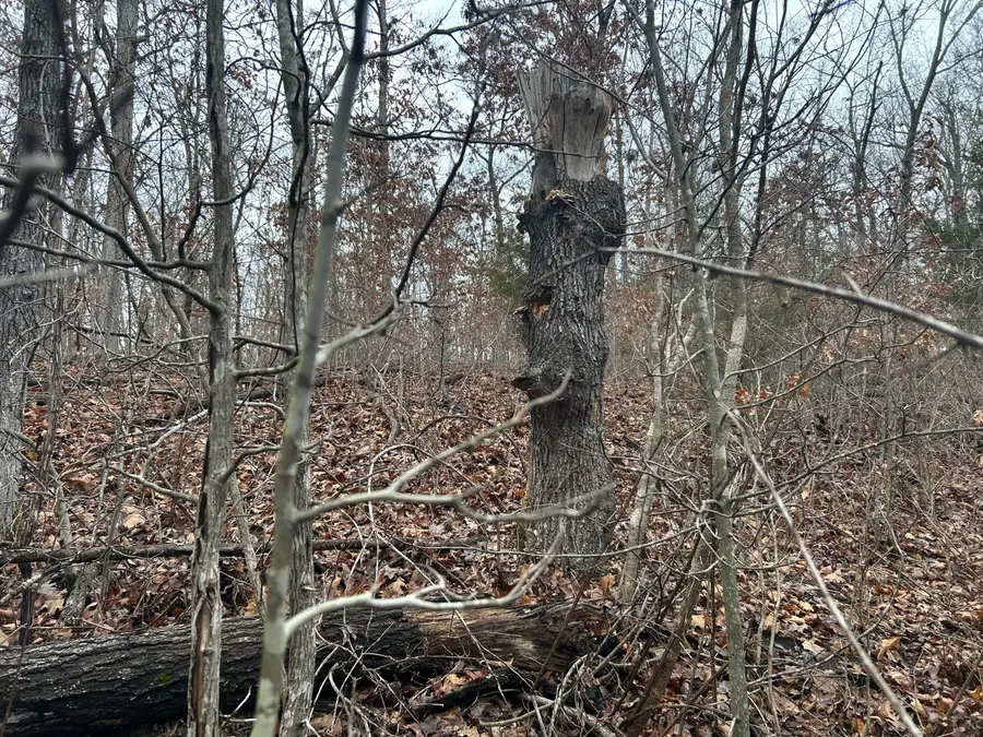 000 County Road 6388, Newburg, MO 65550 - Image #2