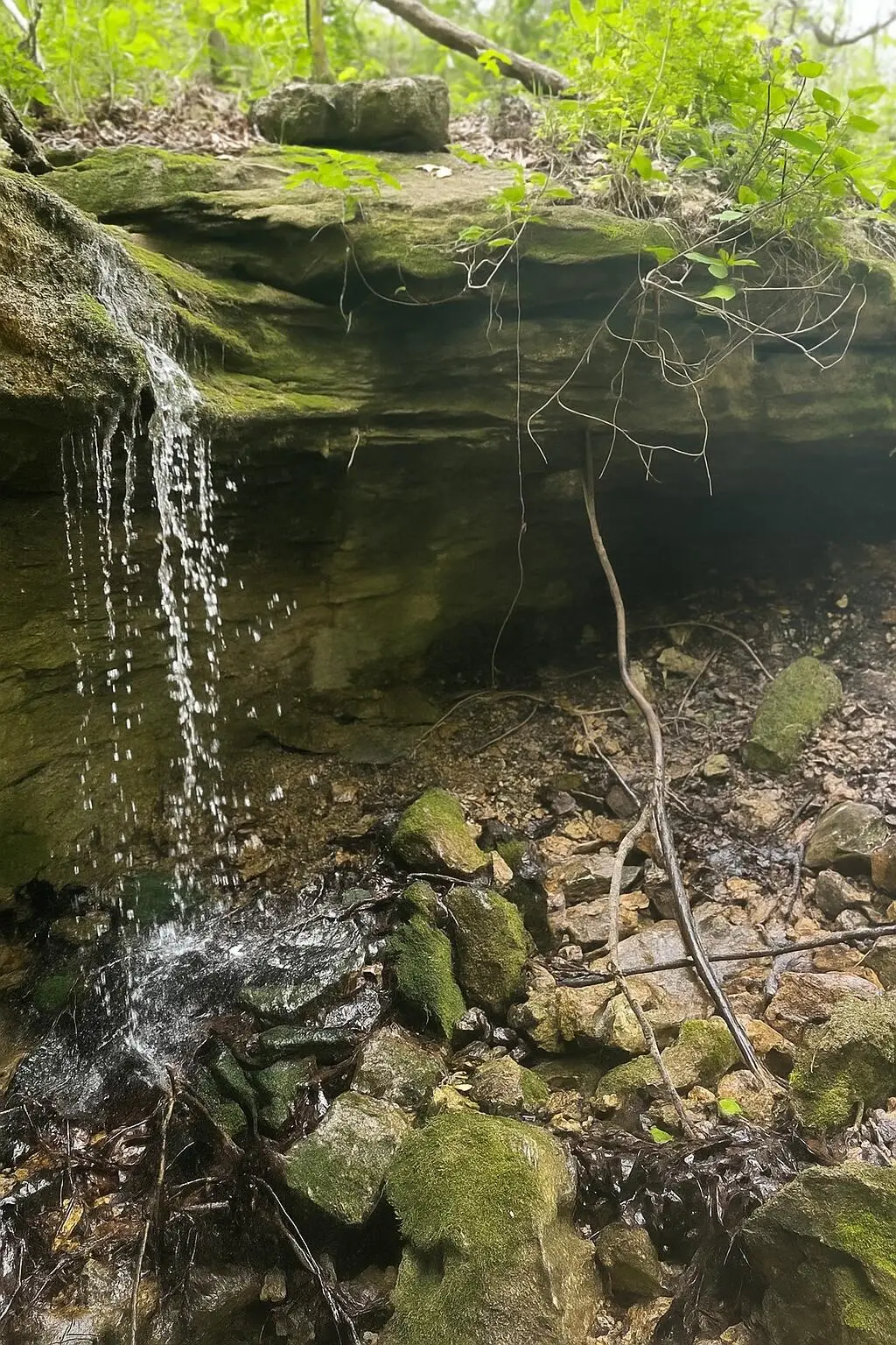 000 State Highway Z, Falcon, MO 65470 - Image #1