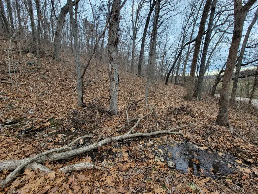 000 State Highway Z, Falcon, MO 65470 - Image #3