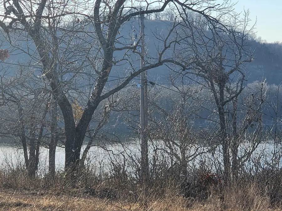 601 Bear Den Cove, Galena, MO 65656 - Image #3