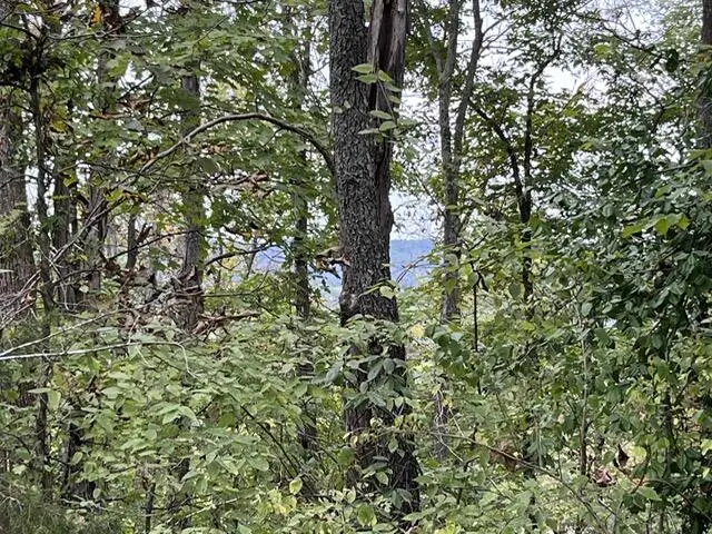 Lot 20 Rabbit Run, Cape Fair, MO 65624 - Image #2