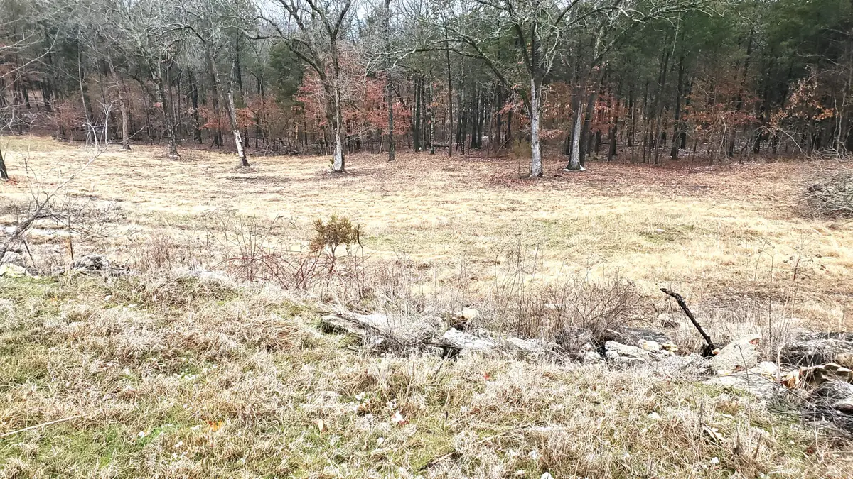 000 Lot 177 Silver Sunset Lane, Kimberling City, MO 65686 - Image #1