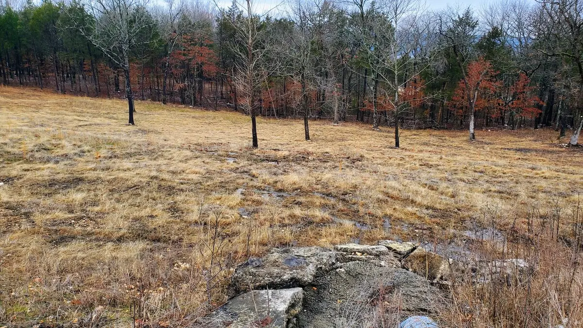 000 Lot 178 Silver Sunset Lane, Kimberling City, MO 65686 - Image #1