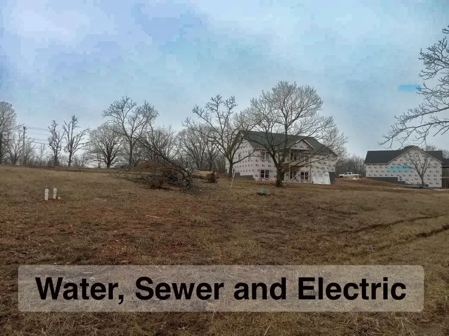 202 Wilderness Pines Lane #Lot 202, Reeds Spring, MO 65737 - Image #2