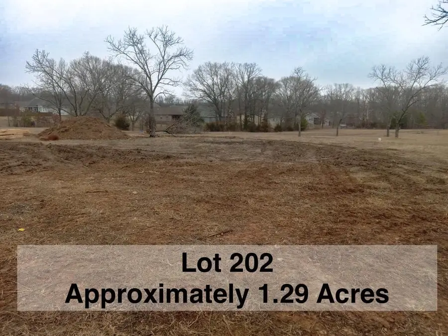 202 Wilderness Pines Lane #Lot 202, Reeds Spring, MO 65737 - Image #3