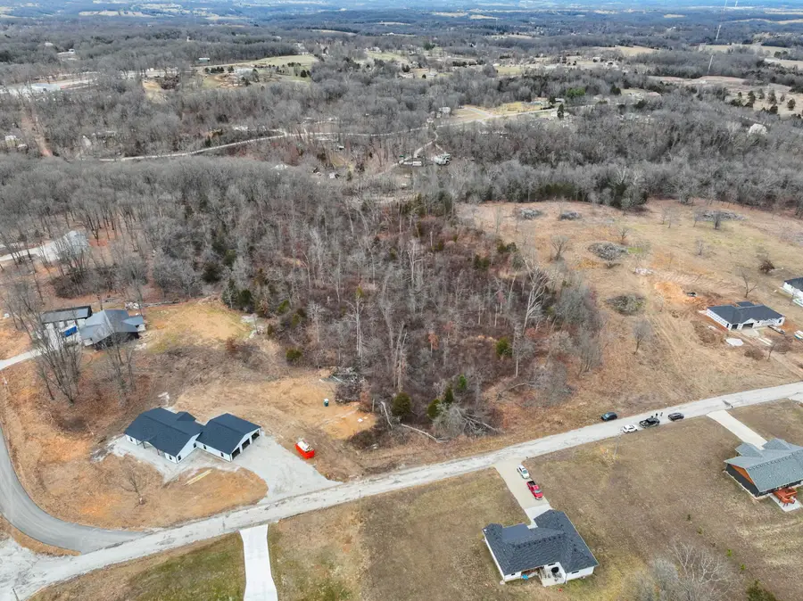 000 Country Meadow Estates #Lots 32-40, 42, Highlandville, MO 65669 - Image #2