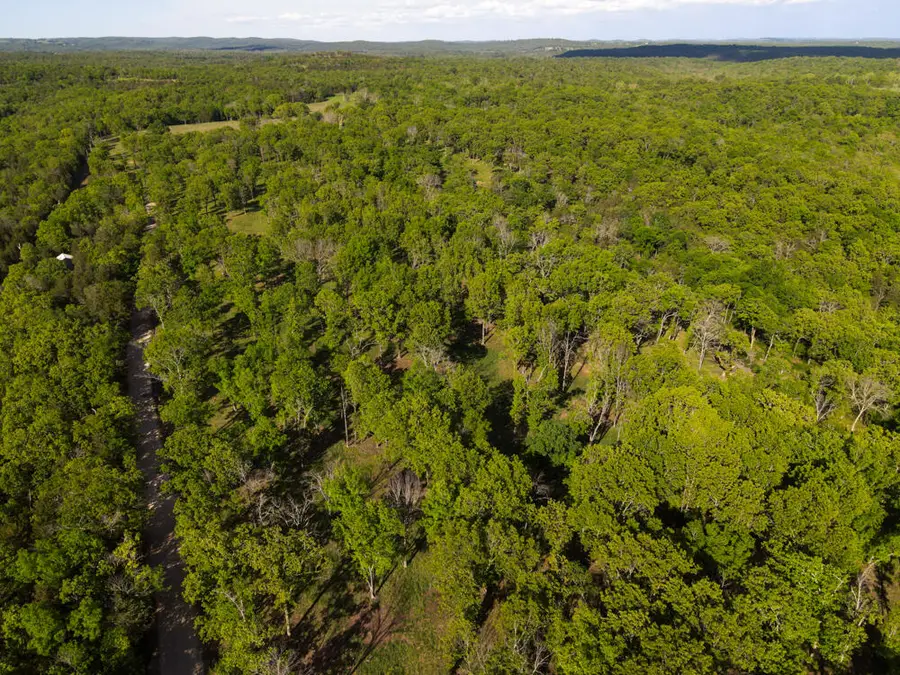 000 Barton Road, Cedarcreek, MO 65627 - Image #3