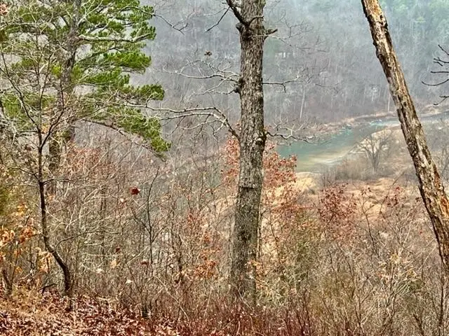 000 County Road 328, Dora, MO 65637 - Image #1