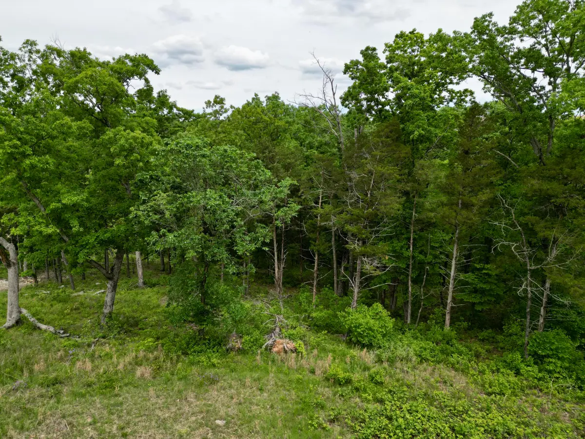 152 Shinnecock Hills Drive, Branson, MO 65616 - Image #1