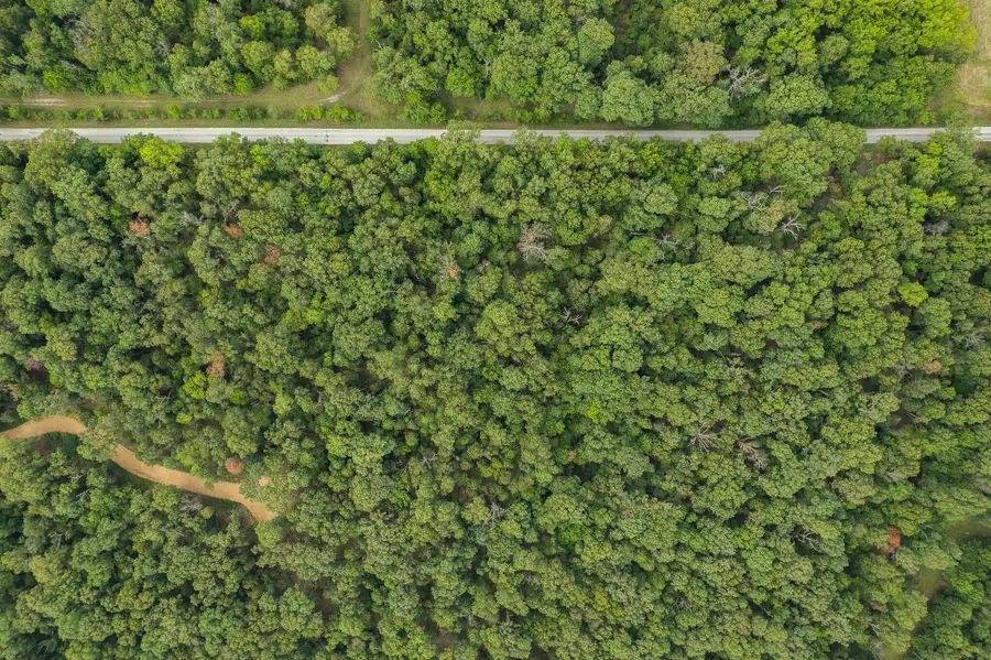 Lot 2 Mink Drive (4 Ac), Neosho, MO 64850 - Image #2