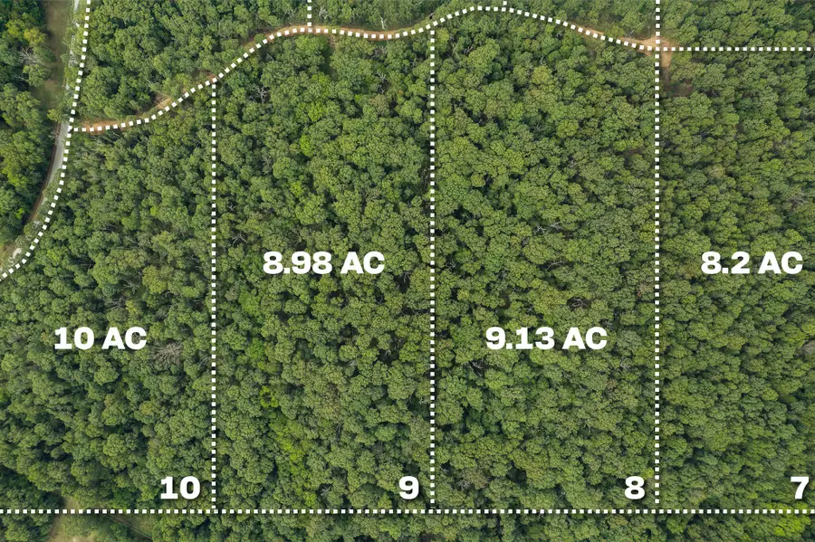 Lot 8 Mink Drive (9.13 Ac), Neosho, MO 64850 - Image #3