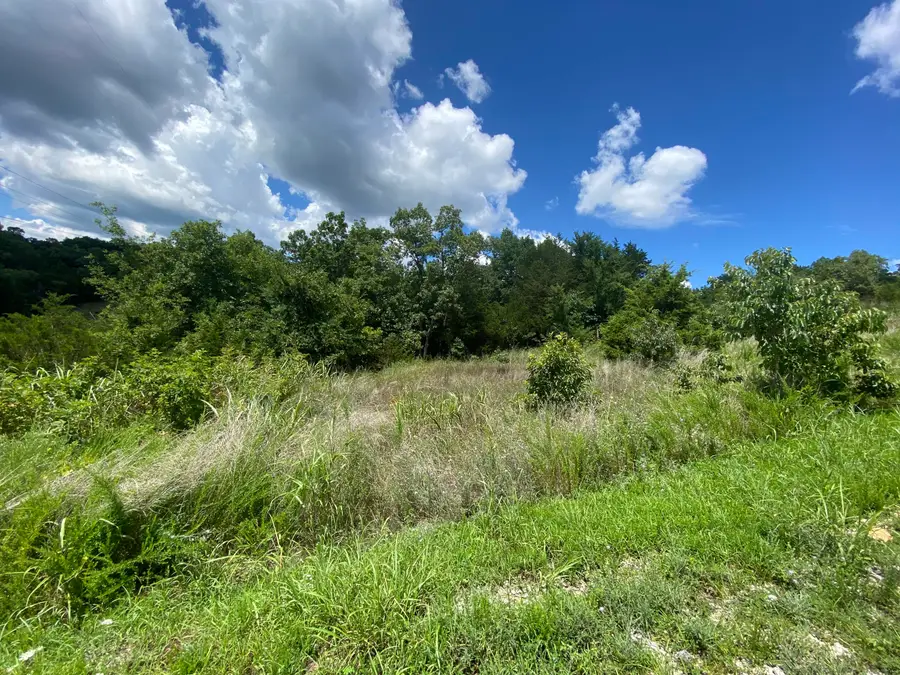 Lot 43 Hummingbird Hills Lane, Branson, MO 65616 - Image #2
