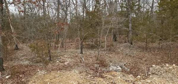 000 Lot 96 Summer Breeze Lane, Kimberling City, MO 65686