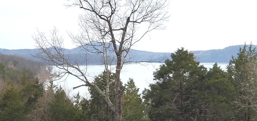 000 Lot 96 Summer Breeze Lane, Kimberling City, MO 65686 - Image #3