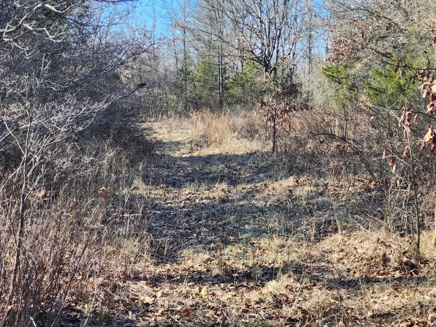 000 Tbd H Higway, Manes, MO 65711 - Image #2