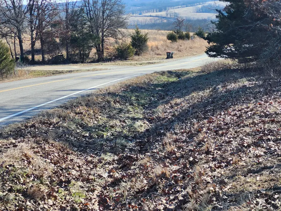 000 Tbd H Higway, Manes, MO 65711 - Image #3