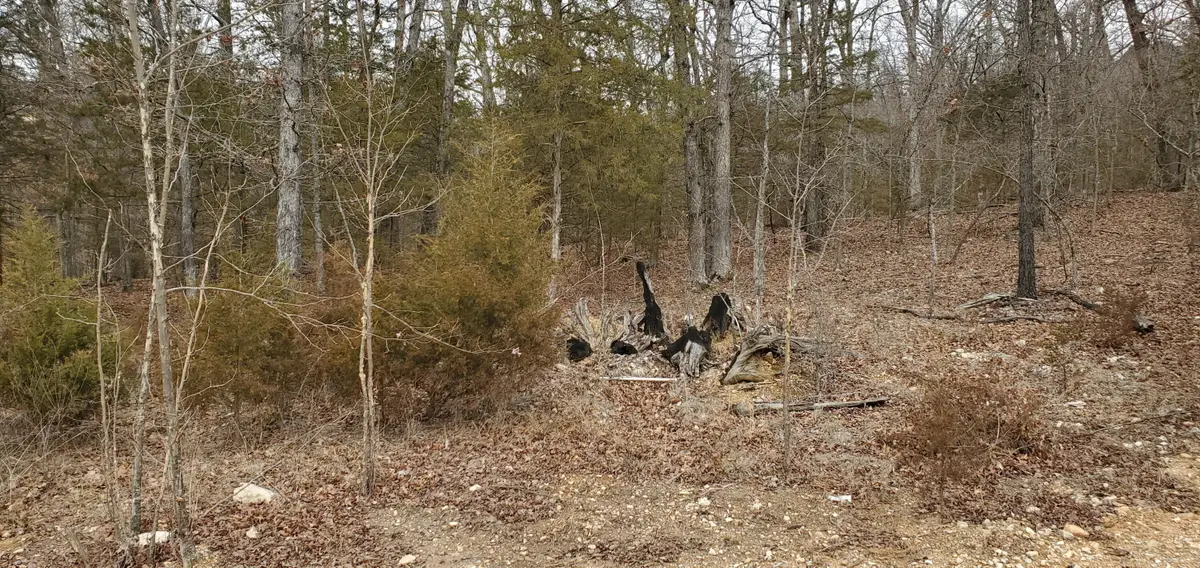 000 Lot 97 Summer Breeze Lane, Kimberling City, MO 65686 - Image #1