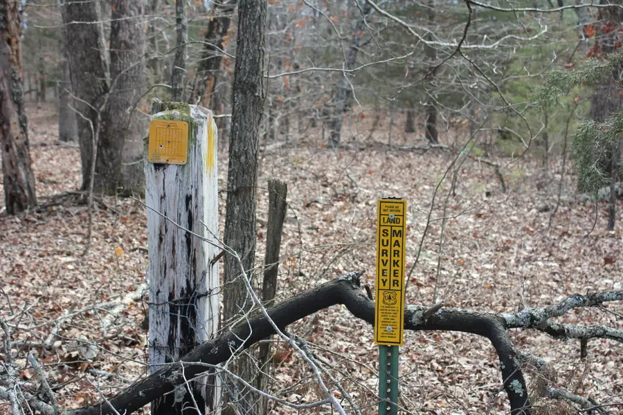 10729 County Road 451, Winona, MO 65588 - Image #3