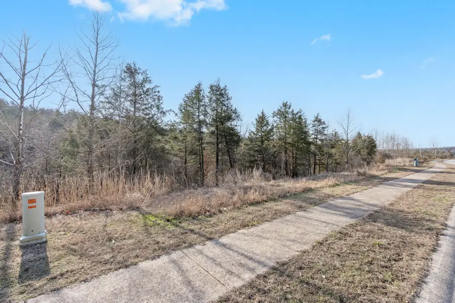 Lot 142 Country Ridge Way, Branson, MO 65616 - Image #3