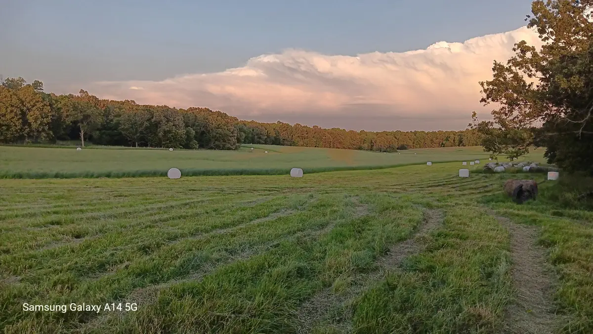 Address Withheld By Seller, West Plains, MO 65775 - Image #1