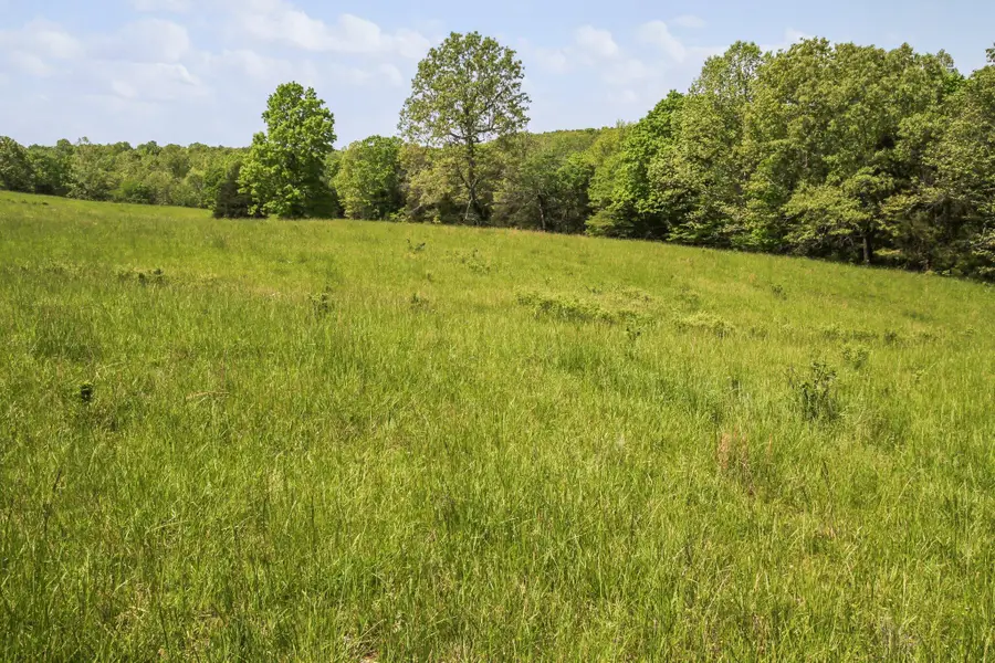 Address Withheld By Seller, West Plains, MO 65775 - Image #2