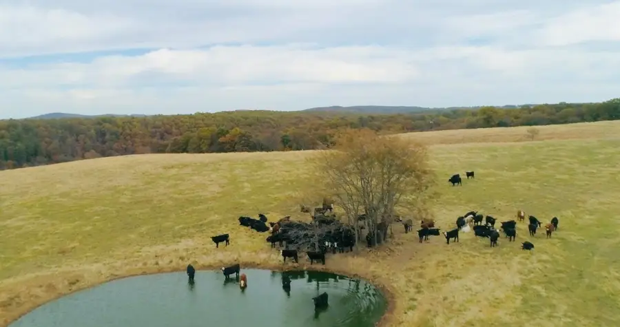 000 County Road 194, Dora, MO 65637 - Image #3