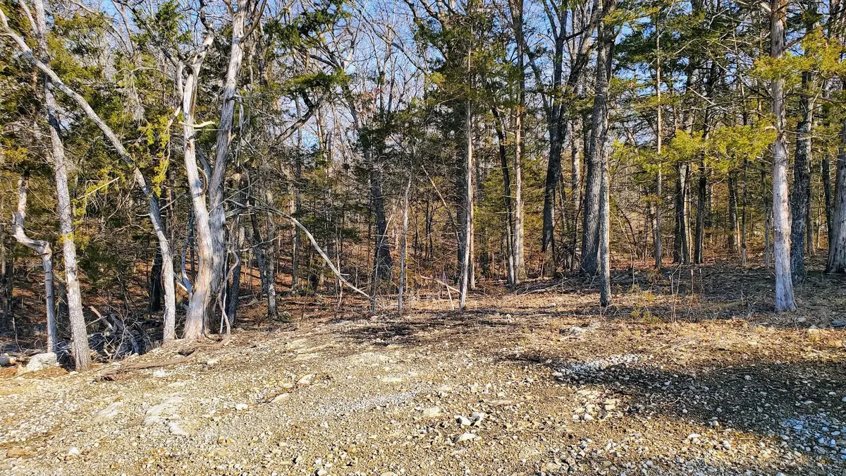 000 Lot 95 Summer Breeze, Kimberling City, MO 65686 - Image #1