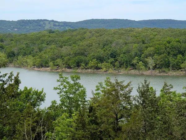 000 Briarcliff Drive, Shell Knob, MO 65747