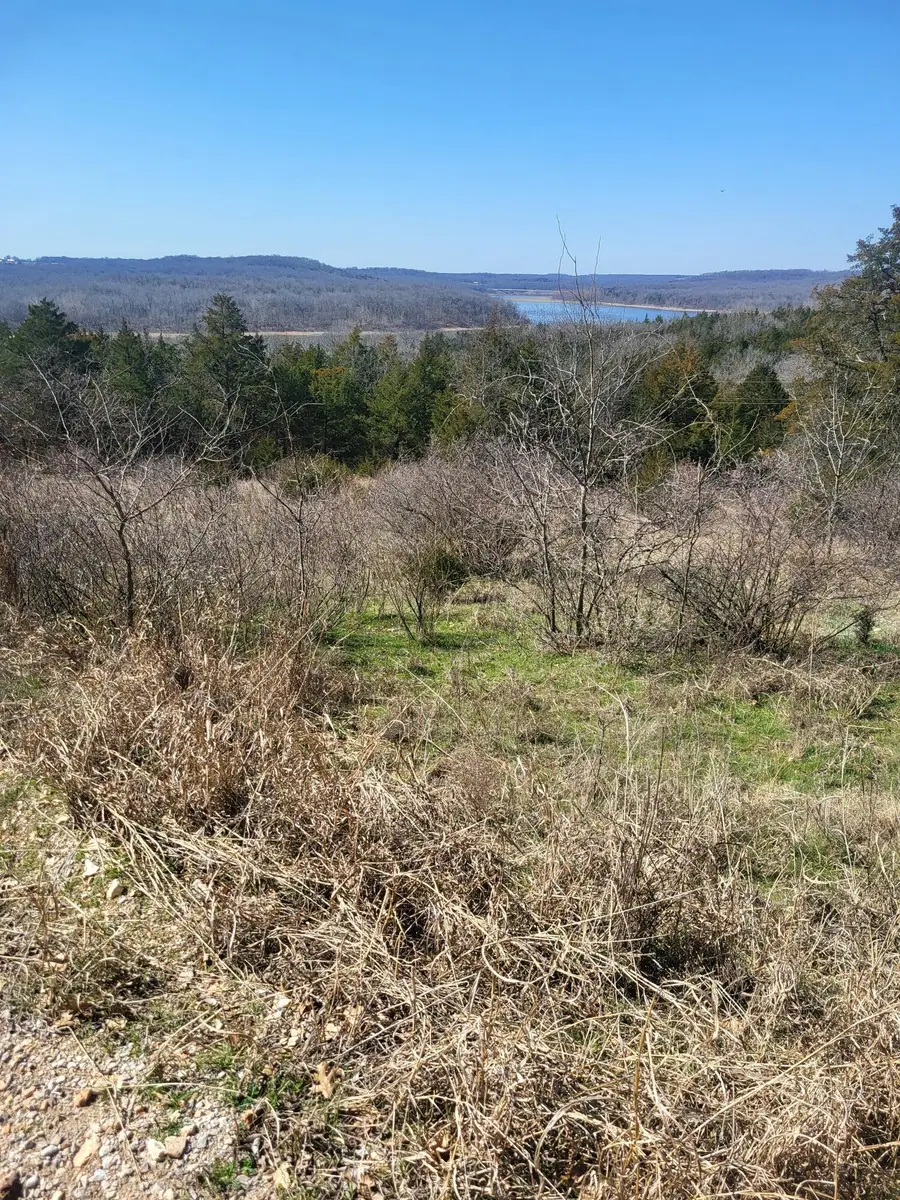 000 Cardinal Lane, Greenfield, MO 65661 - Image #2