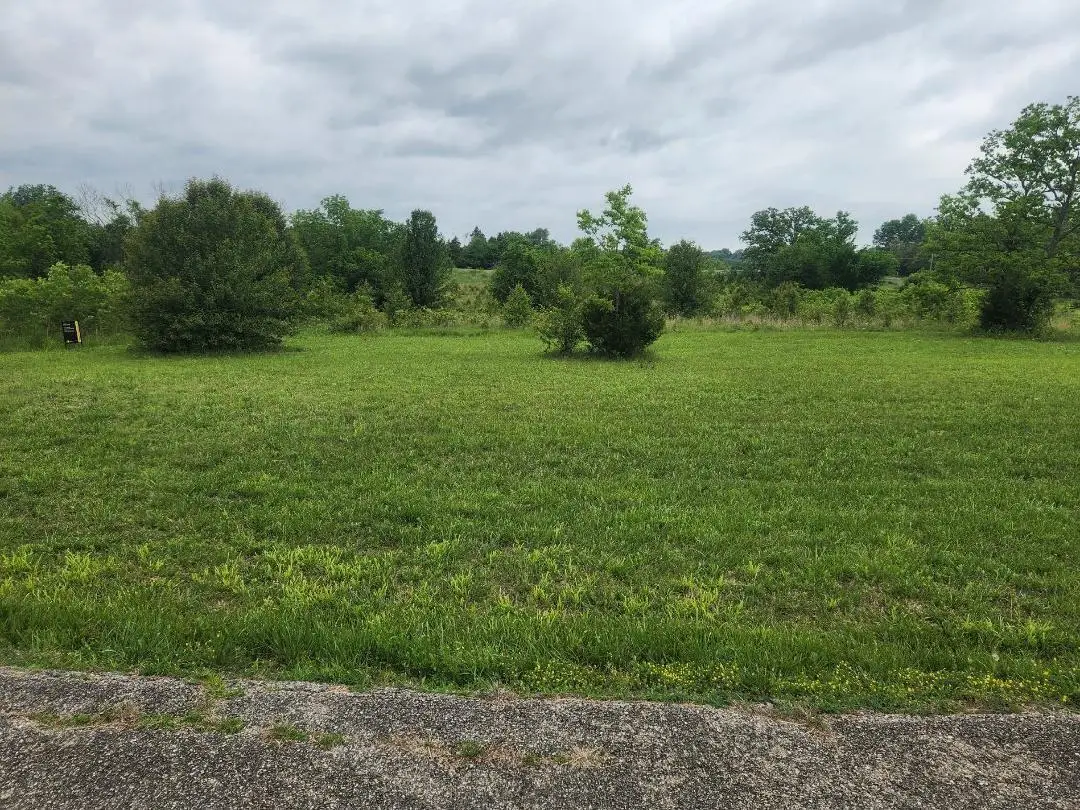 Lot 9 Country Music Ln, Galena, MO 65656 - Image #1