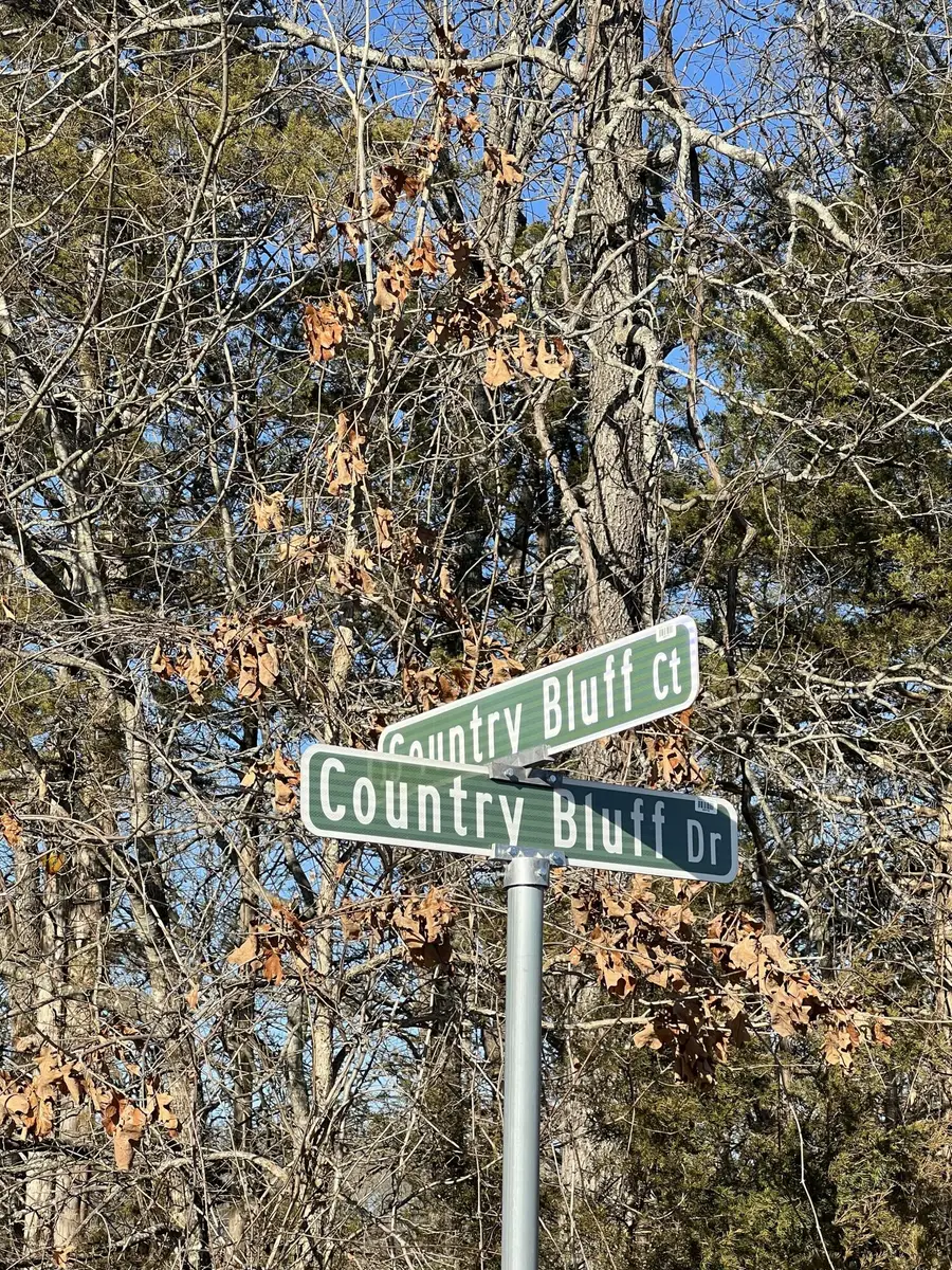 000 Country Bluff Drive, Branson, MO 65616 - Image #2