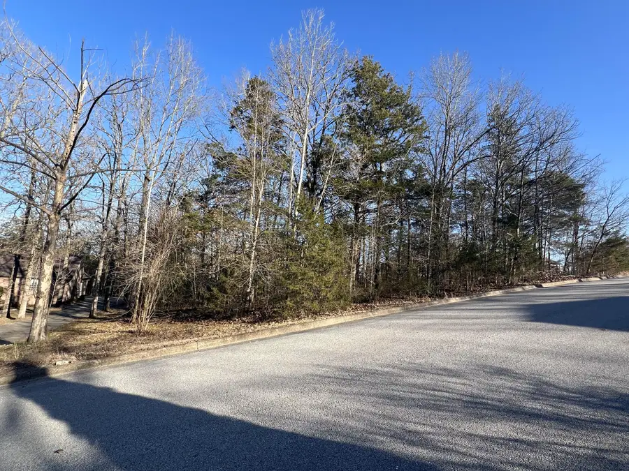 000 Country Bluff Drive, Branson, MO 65616 - Image #3