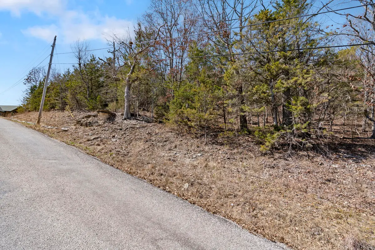 000 Map Lane, Branson, MO 65616 - Image #1