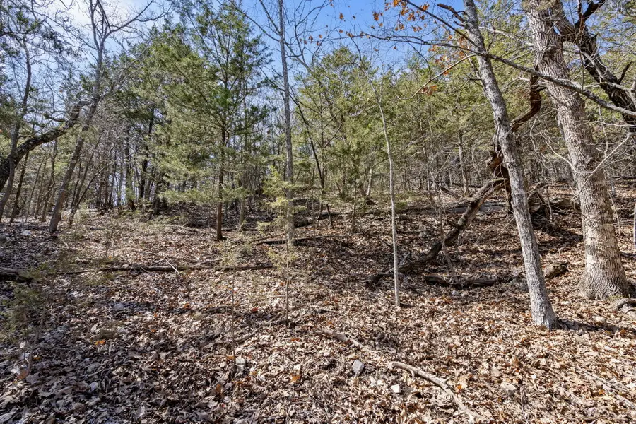 000 Map Lane, Branson, MO 65616 - Image #3