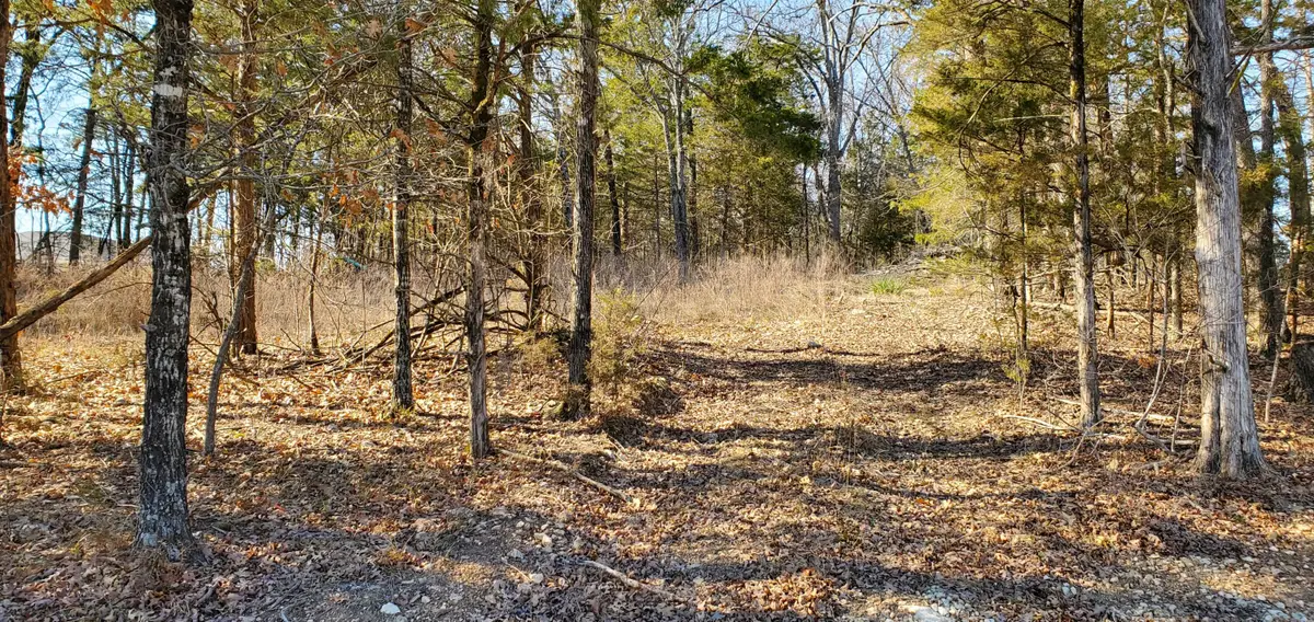 000 Lot 101 Summer Breeze Lane, Kimberling City, MO 65686 - Image #1