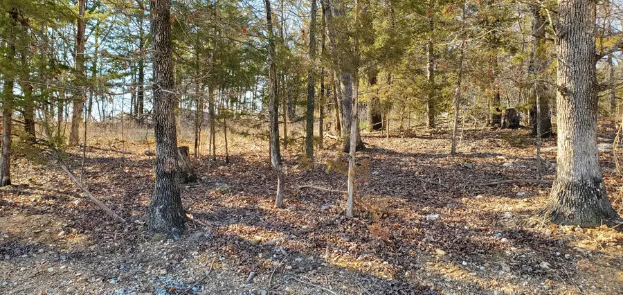 000 Lot 101 Summer Breeze Lane, Kimberling City, MO 65686 - Image #2