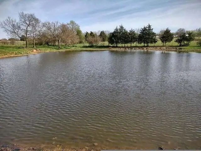 000 State Highway B, Rogersville, MO 65742 - Image #2