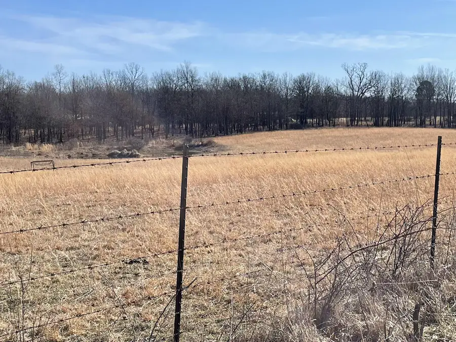 22177 Midvale Road, Summersville, MO 65571 - Image #3