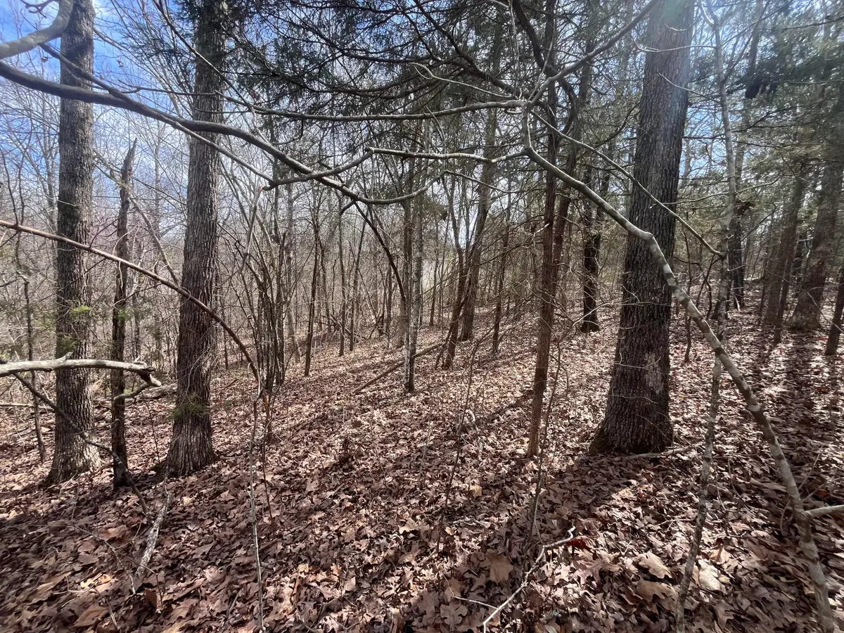 000 Boanna, Cherokee Village, AR 72529 - #1