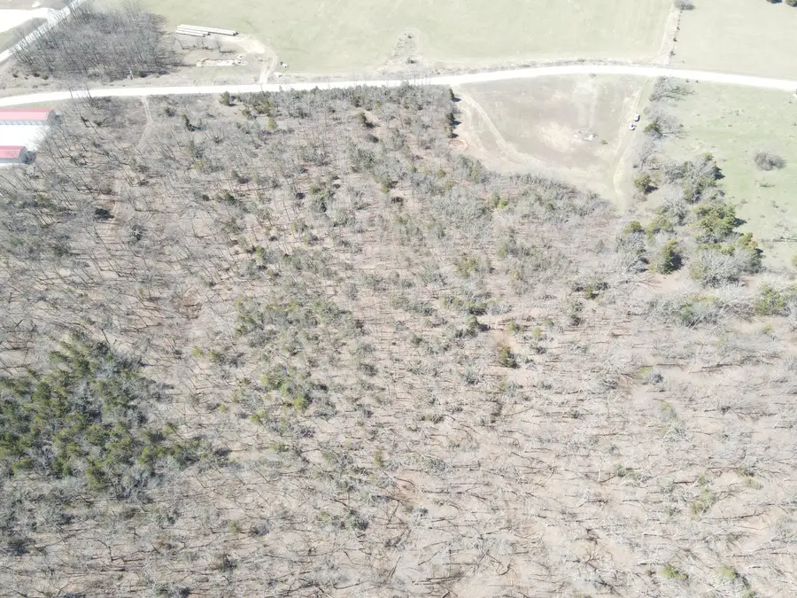 21594 County Road 189, Wheatland, MO 65779 - Image #2