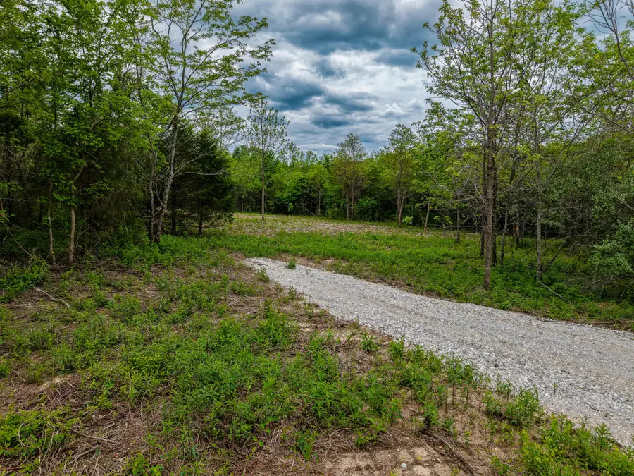 000 Cravens Road Road, Mansfield, MO 65704 - Image #2