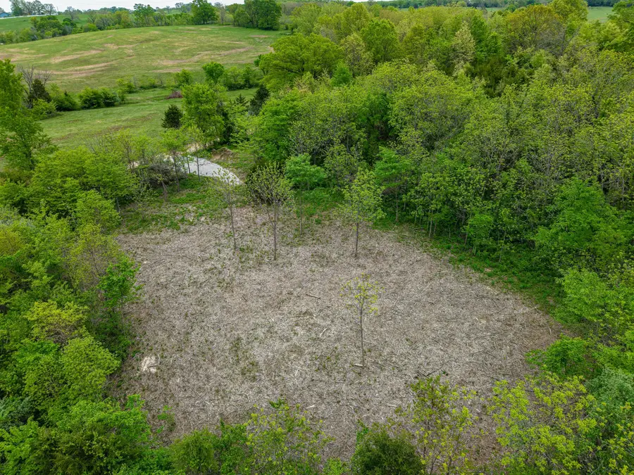 000 Cravens Road Road, Mansfield, MO 65704 - Image #3