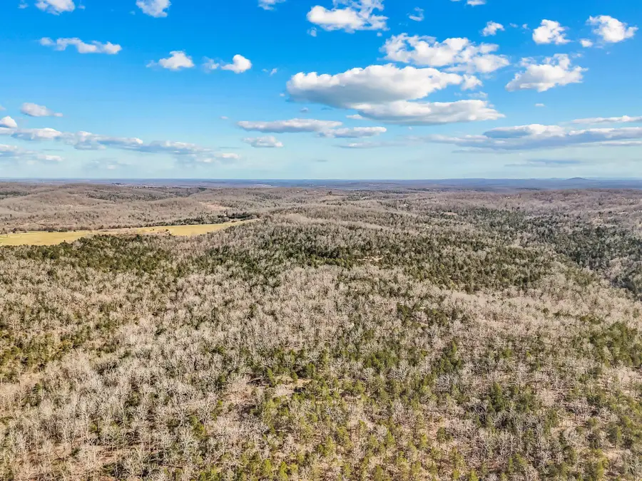 Tbd Co Rd 527, Gainesville, MO 65655 - Image #2