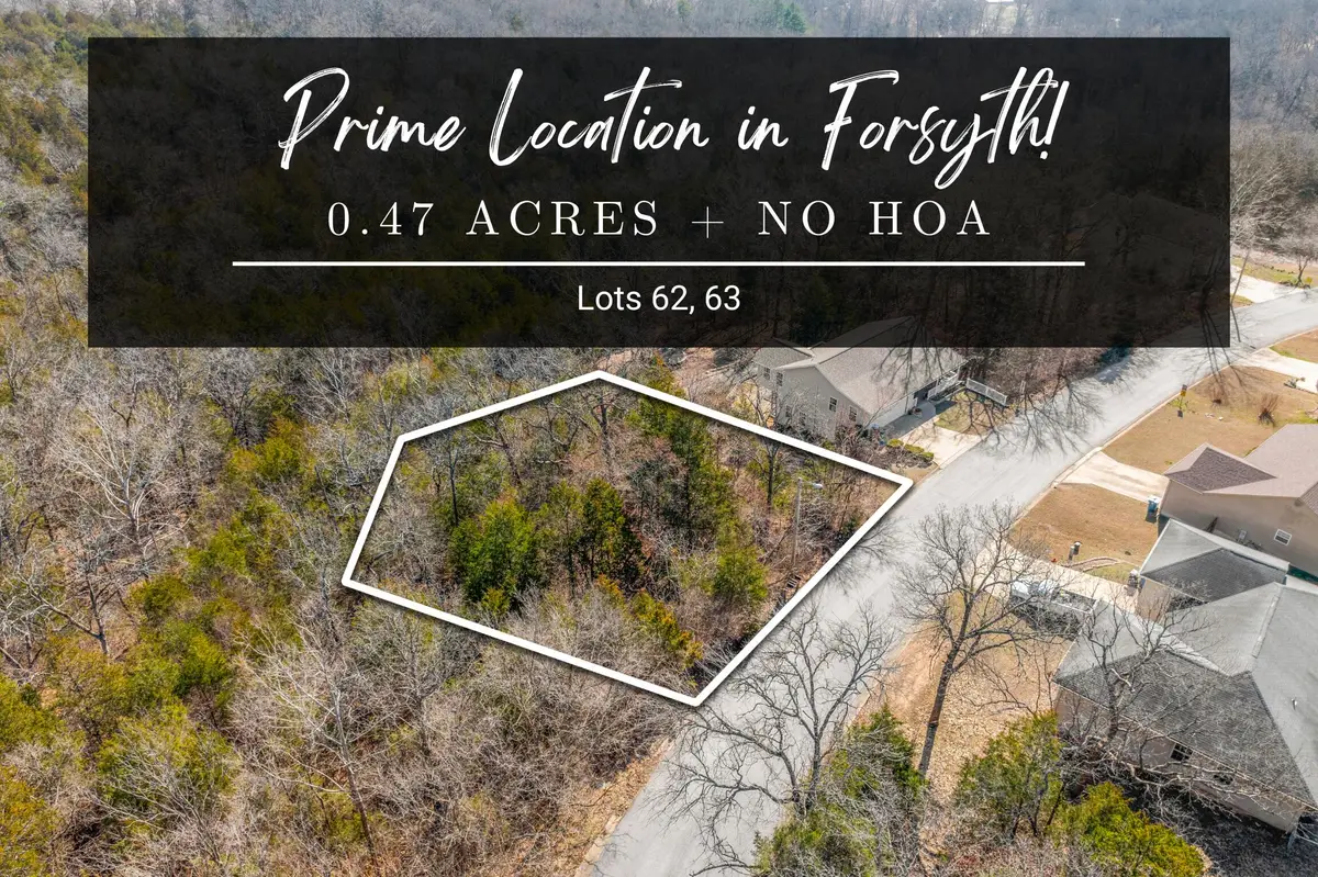 Lots 62 & 63 Eagle Drive, Forsyth, MO 65653 - Image #1