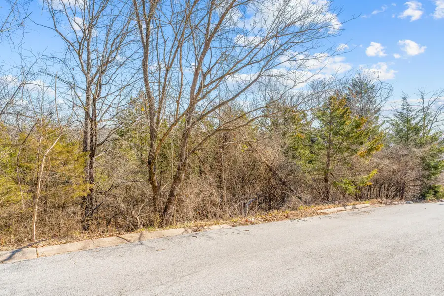 Lots 62 & 63 Eagle Drive, Forsyth, MO 65653 - Image #2