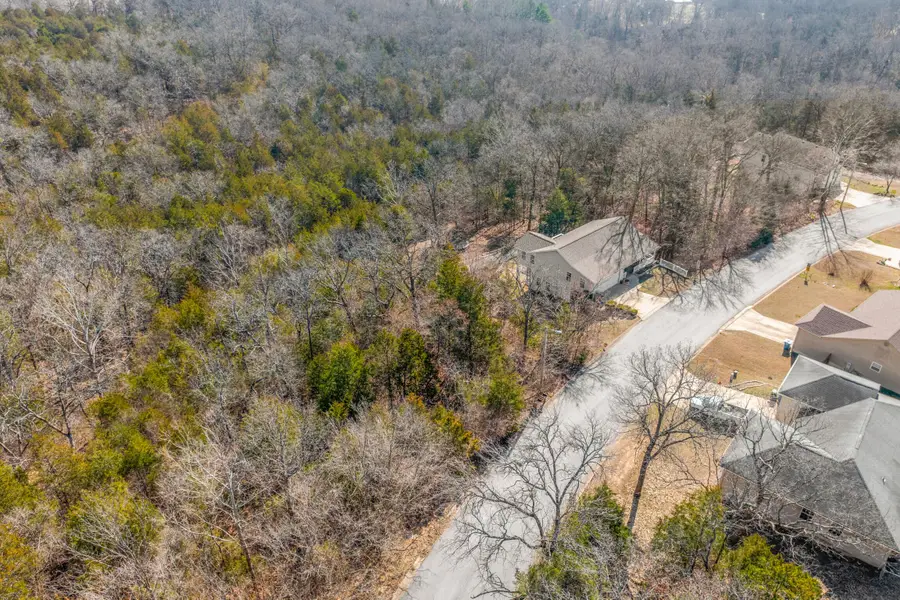 Lots 62 & 63 Eagle Drive, Forsyth, MO 65653 - Image #3
