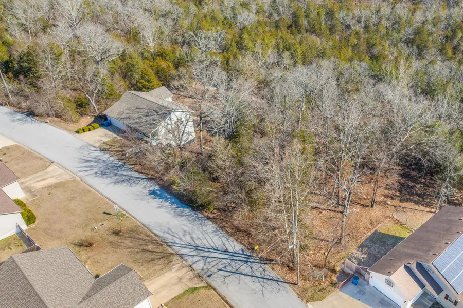 Lot 59 Eagle Drive, Forsyth, MO 65653 - Image #2